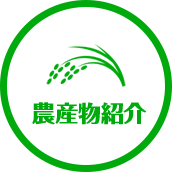 農産物紹介