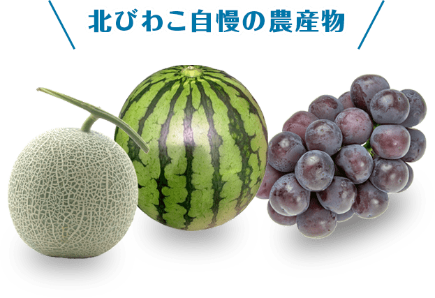 北びわこ自慢の農産物