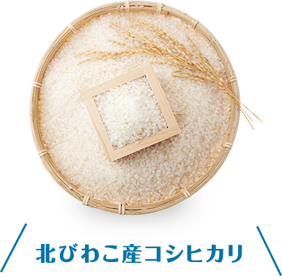 北びわこ産コシヒカリ