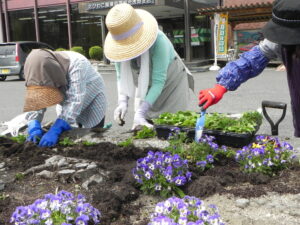 女性部虎姫支部員と支店職員で花壇に花を植えました Ja北びわこ